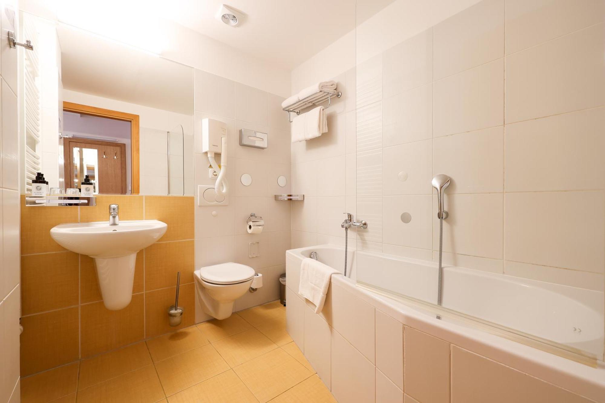 Hotel Mlyn 4*